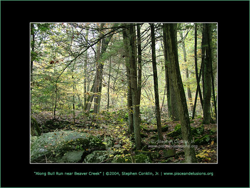 Along Bull Run, by Stephen Conklin, Jr. - www.pisceandelusions.org